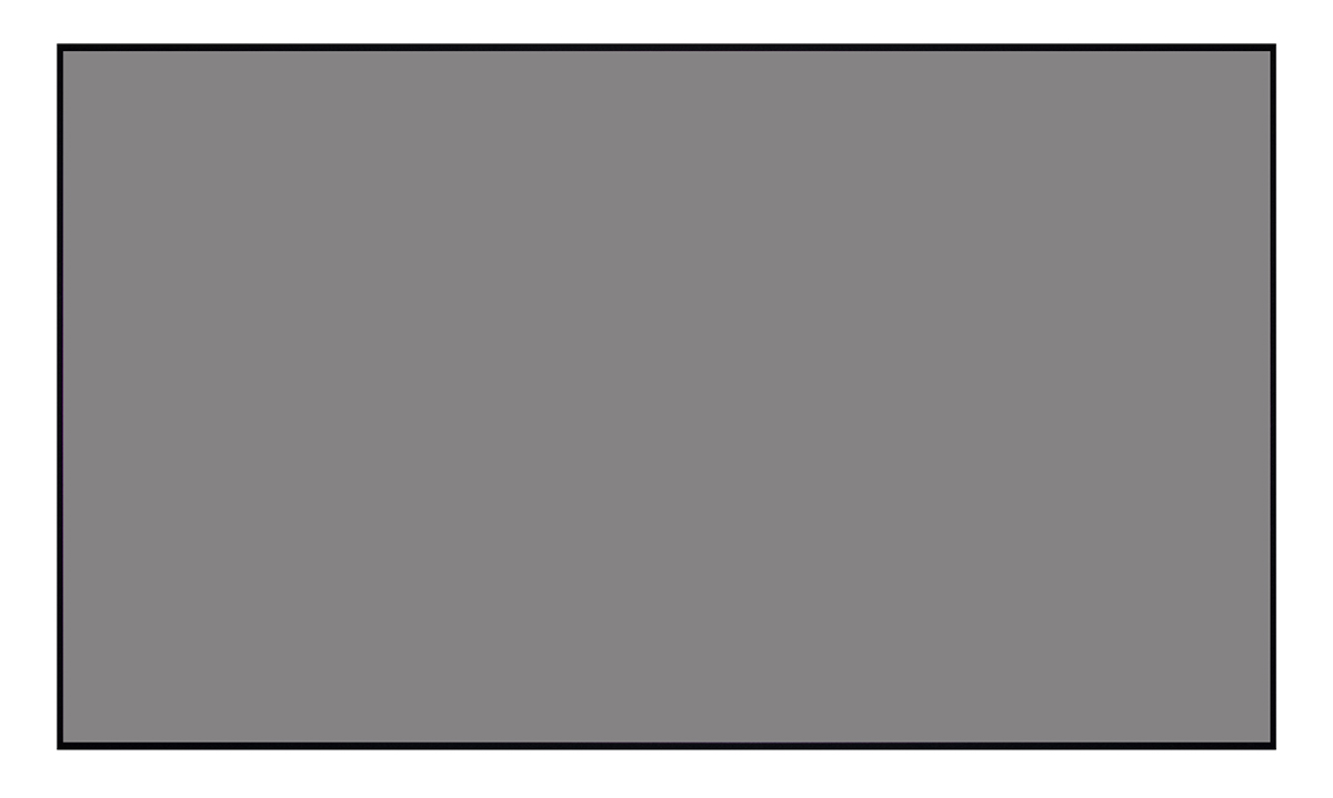 [LCTB-100206] Экран Lumien Cinema Thin Bezel